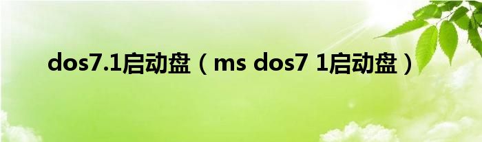 dos7.1启动盘（ms dos7 1启动盘）