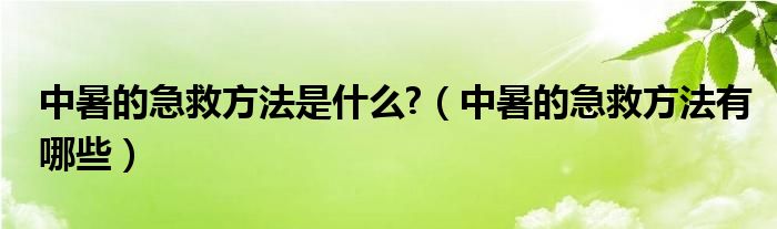 中暑的急救方法是什么?（中暑的急救方法有哪些）