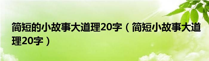 简短的小故事大道理20字（简短小故事大道理20字）