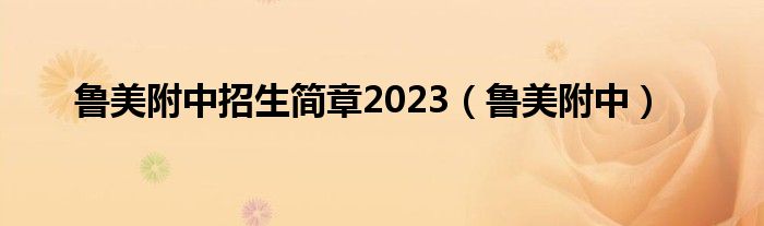 鲁美附中招生简章2023（鲁美附中）