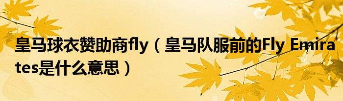 皇马球衣赞助商fly（皇马队服前的Fly Emirates是什么意思）