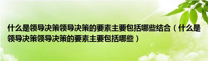 什么是领导决策领导决策的要素主要包括哪些结合（什么是领导决策领导决策的要素主要包括哪些）