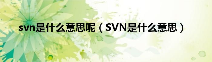 svn是什么意思呢（SVN是什么意思）