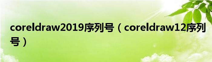 coreldraw2019序列号（coreldraw12序列号）