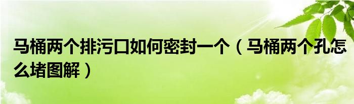 马桶两个排污口如何密封一个（马桶两个孔怎么堵图解）