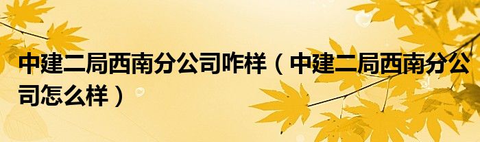 中建二局西南分公司咋样（中建二局西南分公司怎么样）