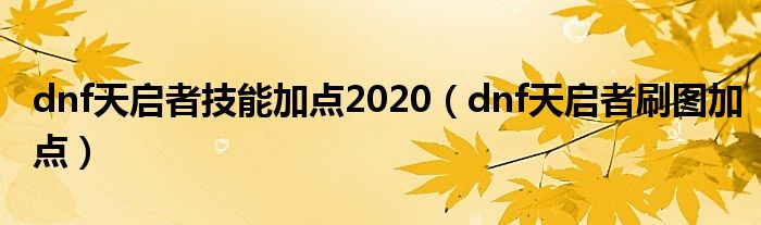 dnf天启者技能加点2020（dnf天启者刷图加点）