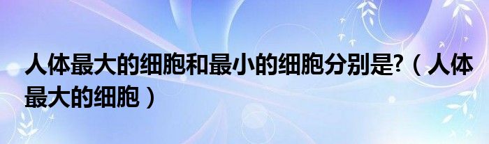 人体最大的细胞和最小的细胞分别是?（人体最大的细胞）