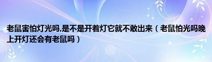 老鼠害怕灯光吗,是不是开着灯它就不敢出来（老鼠怕光吗晚上开灯还会有老鼠吗）