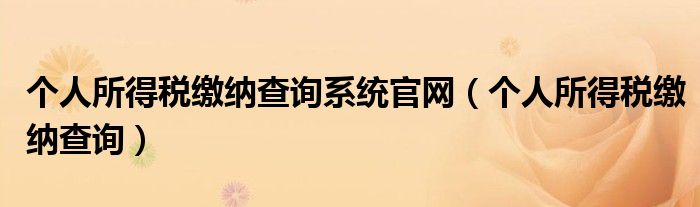 个人所得税缴纳查询系统官网（个人所得税缴纳查询）