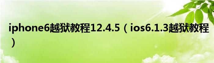 iphone6越狱教程12.4.5（ios6.1.3越狱教程）