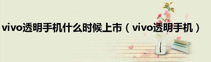 vivo透明手机什么时候上市（vivo透明手机）