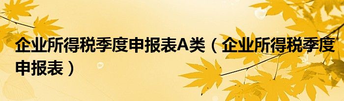 企业所得税季度申报表A类（企业所得税季度申报表）