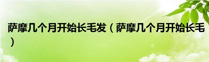 萨摩几个月开始长毛发（萨摩几个月开始长毛）