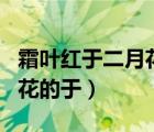 霜叶红于二月花于是哪个季节（霜叶红于二月花的于）