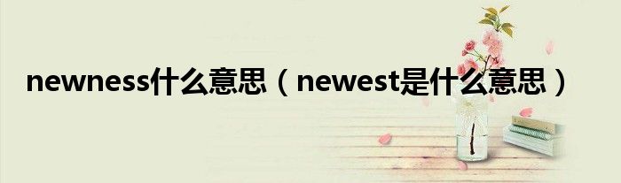 newness什么意思（newest是什么意思）