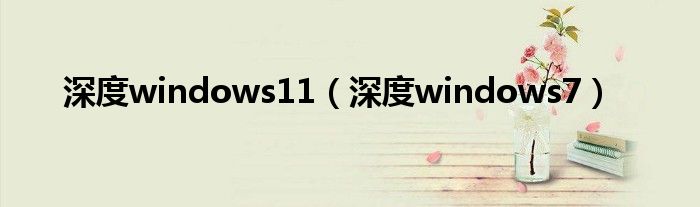 深度windows11（深度windows7）