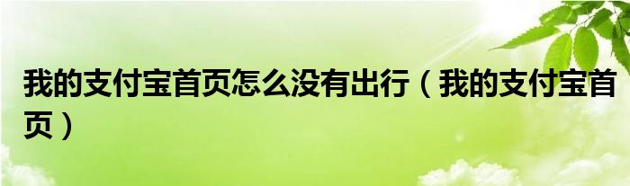 我的支付宝首页怎么没有出行（我的支付宝首页）