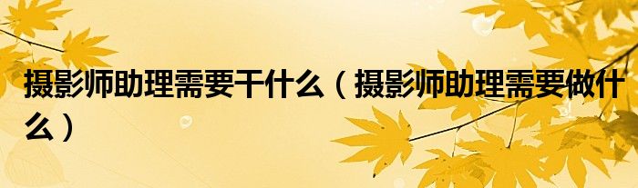 摄影师助理需要干什么（摄影师助理需要做什么）