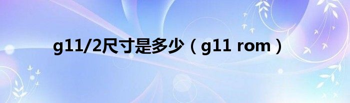 g11/2尺寸是多少（g11 rom）