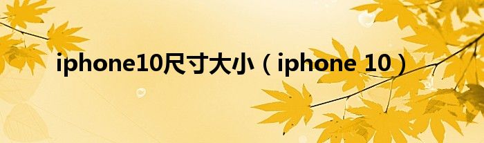 iphone10尺寸大小（iphone 10）