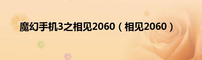 魔幻手机3之相见2060（相见2060）