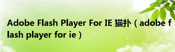 Adobe Flash Player For IE 猫扑（adobe flash player for ie）