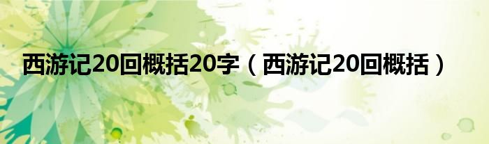 西游记20回概括20字（西游记20回概括）