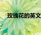 玫瑰花的英文怎么写（花的英文怎么写）