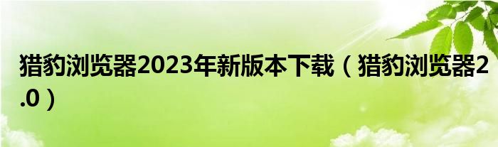 猎豹浏览器2023年新版本下载（猎豹浏览器2.0）