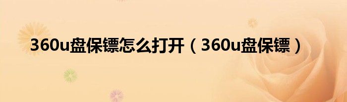 360u盘保镖怎么打开（360u盘保镖）