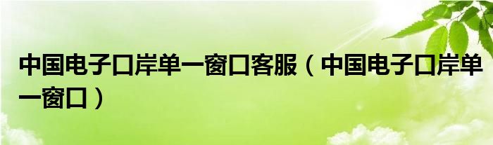 中国电子口岸单一窗口客服（中国电子口岸单一窗口）