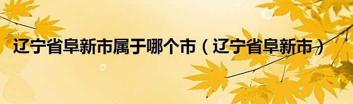 辽宁省阜新市属于哪个市（辽宁省阜新市）