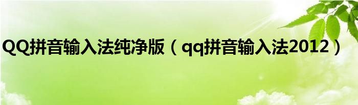 QQ拼音输入法纯净版（qq拼音输入法2012）