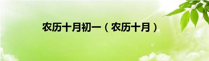 农历十月初一（农历十月）