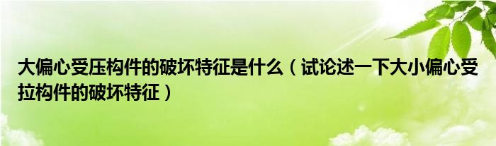 大偏心受压构件的破坏特征是什么（试论述一下大小偏心受拉构件的破坏特征）