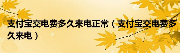 支付宝交电费多久来电正常（支付宝交电费多久来电）