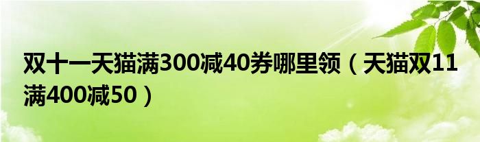 双十一天猫满300减40券哪里领（天猫双11 满400减50）