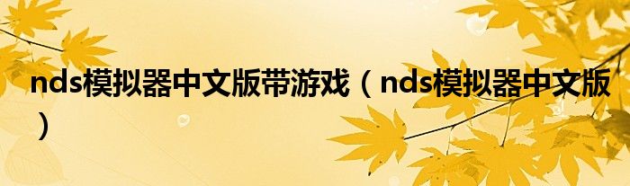 nds模拟器中文版带游戏（nds模拟器中文版）