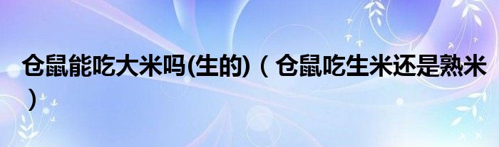 仓鼠能吃大米吗(生的)（仓鼠吃生米还是熟米）