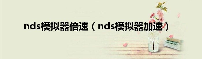 nds模拟器倍速（nds模拟器加速）