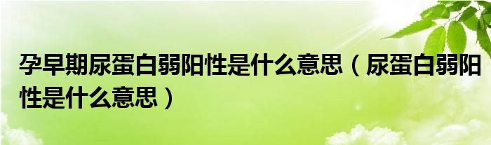 孕早期尿蛋白弱阳性是什么意思（尿蛋白弱阳性是什么意思）