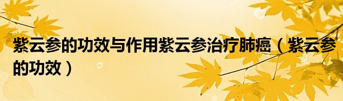 紫云参的功效与作用紫云参治疗肺癌（紫云参的功效）