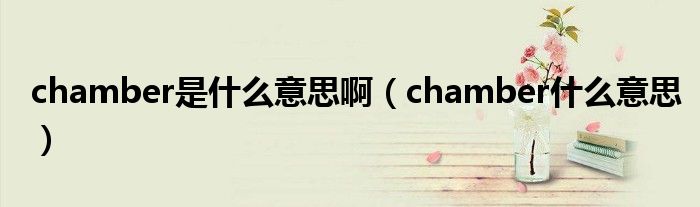 chamber是什么意思啊（chamber什么意思）