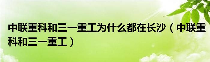 中联重科和三一重工为什么都在长沙（中联重科和三一重工）