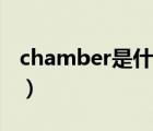 chamber是什么意思啊（chamber什么意思）