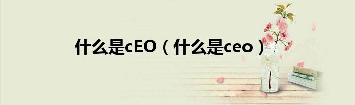 什么是cEO（什么是ceo）