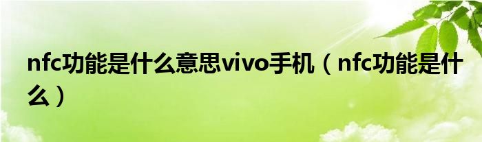 nfc功能是什么意思vivo手机（nfc功能是什么）