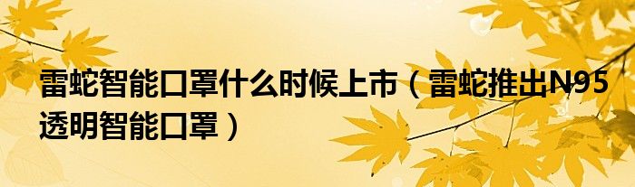 雷蛇智能口罩什么时候上市（雷蛇推出N95透明智能口罩）