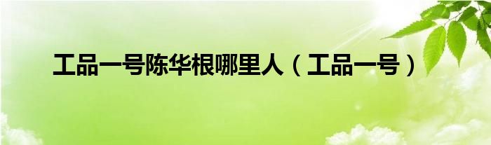 工品一号陈华根哪里人（工品一号）